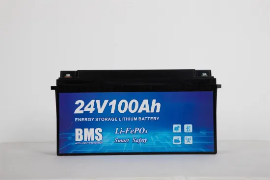 High Efficiency Deep Cycle 24V100ah Battery with BMS