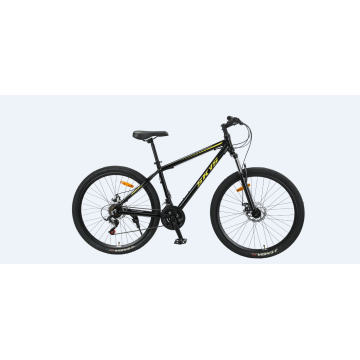 TW-61 Mountain Bike Iron Frame MTB Bicycle