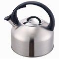 Large 3 Quart Stainless Steel Water Boiler kettle