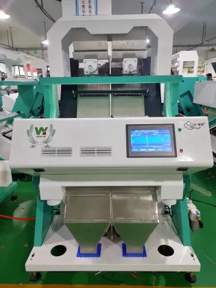 Macadamia Nut Color Sorting Machine
