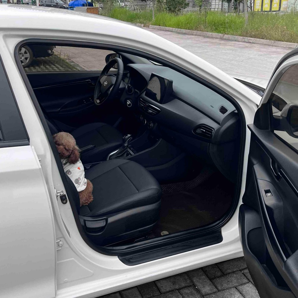 Hyundai Celesta 2020 1.6L Automatic Value Edition