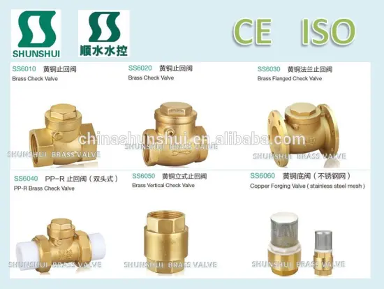SS6020 Brass check valve swing check valve