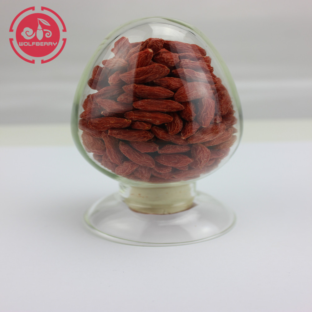 높은 영양 상태의 인증 된 건강한 저농약 Goji Berries