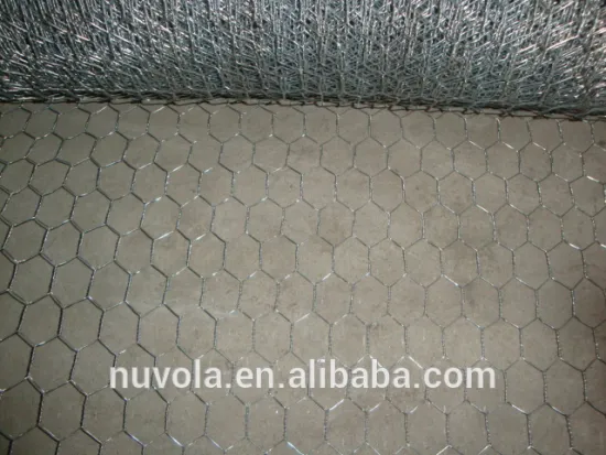 Building Material Galvanized Welded Wire Mesh