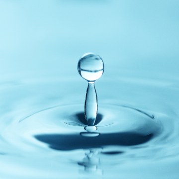 Pro-xylane powder for sale