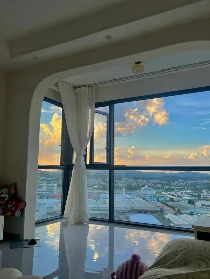 Customizable Modern Style Aluminum Alloy Sliding Windows