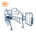 Hot Dip Galvanized Pig Farm Equipment