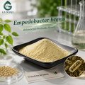 Empedobacter Brevis تجميد الثقافة الميكروبية المجففة
