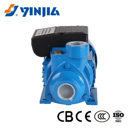 0.5 HP Peripheral Pump