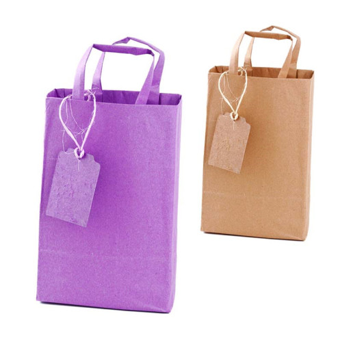 Customized Logo Gift Bag with Handle