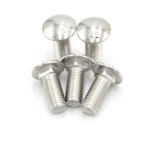304 DIN603 carriage bolt Stainless Steel