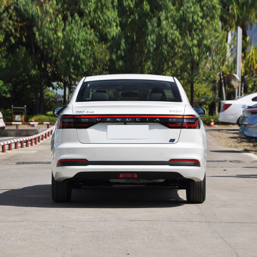 Dongfeng Nissan Venucia D60EV 2023 Plus