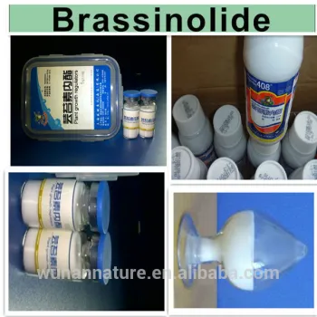 high effective natural plant growth regulator hormone 28 brassinolides