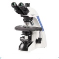 VB-1000Ti Trinocular Advanced Biological Optical Microscopio