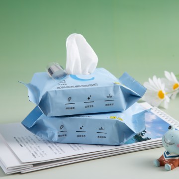 진정 쿨링 와이프 패킷