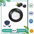 /msite/products/detail/productid/60658195/id/1001285.html