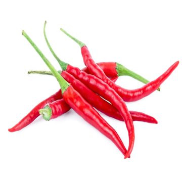 Premium Hot Chili for Export Buyers