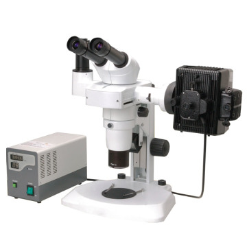 FLS 06 810F 808F 806F Zoom Fluorescent Stereo Microscope: A Comprehensive Guide and Search Engine