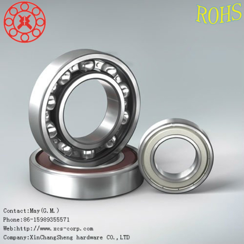 Skate Skateboard Bearings