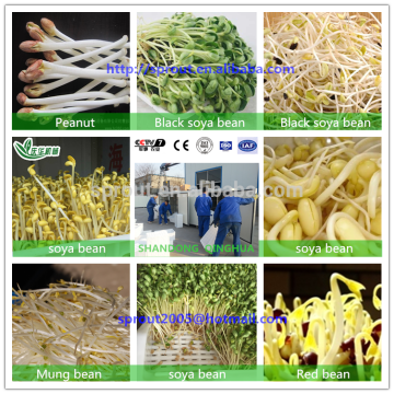 Bean Sprout Machine mung bean sprout machine bean sprout making machine