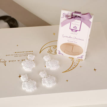 Gift Box Christmas Scented Clay