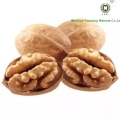 100% Natural Walnut Kernels Light Halves (LH)