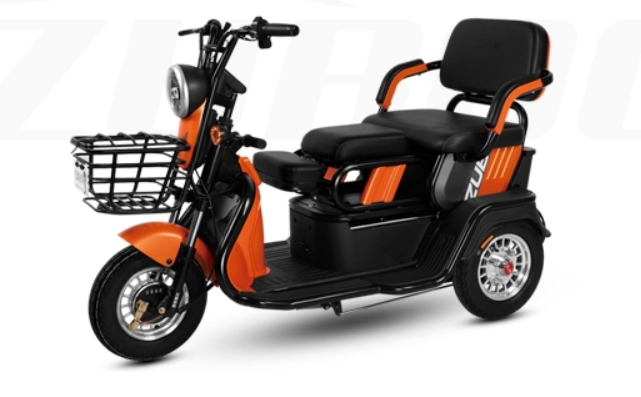 S1(Leisure Electric Tricycle)