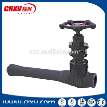 Integral Extended Globe Valve