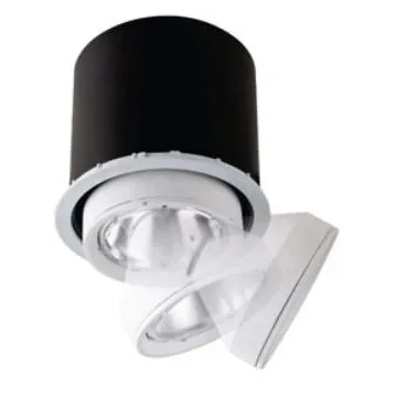 Down Light with Aluminum Die-casting Body