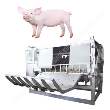 Machine de brouillage et dehairing de porc à vendre