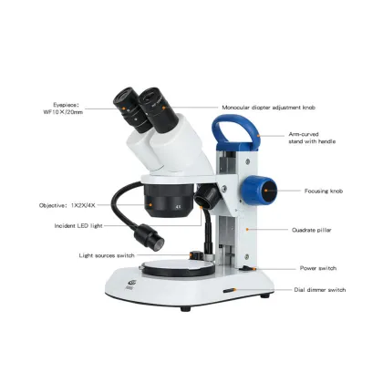 Research Stereo Microscope with Adjustable LED Light
