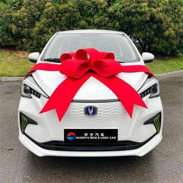 2024 Changan Benben E-Star Mini EV