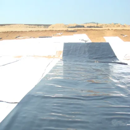 Wastewater Lagoon Liners HDPE geomembrane