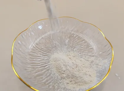 Panax Ginseng Extract