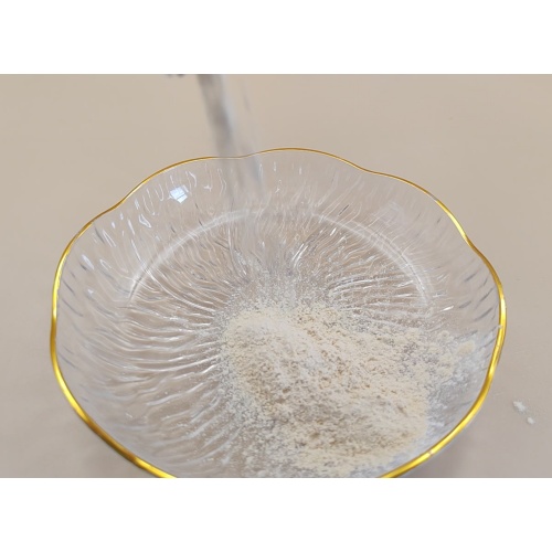 Extracto de Panax Ginseng