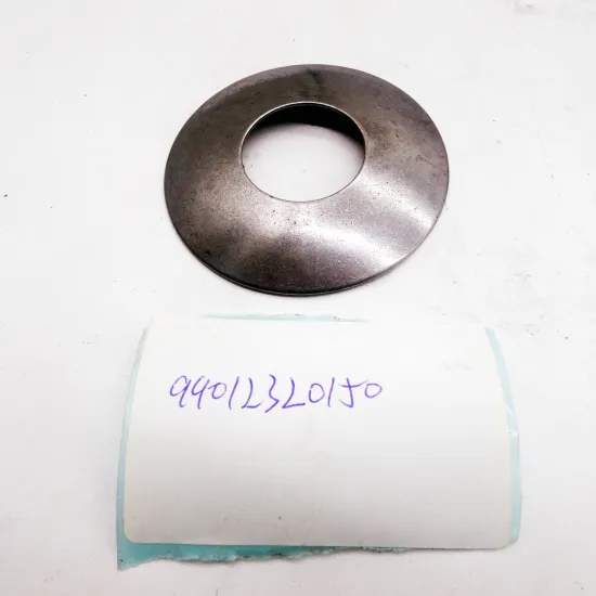 Planetary Gear Gasket 99012320150