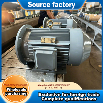 YE3 three phase induction motor