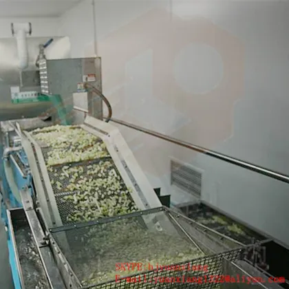 Industrial Vegetable Washing Machine/Vegetable And Fruit Washing Machine