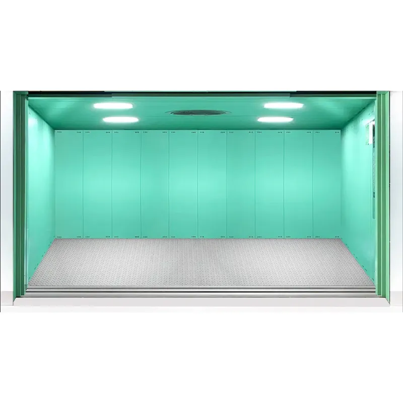 Big Capacity Energy Saving Cargo Elevator