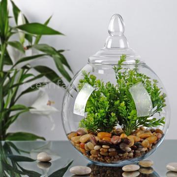 High Clear Handblown Glass Ball with Glass Lid