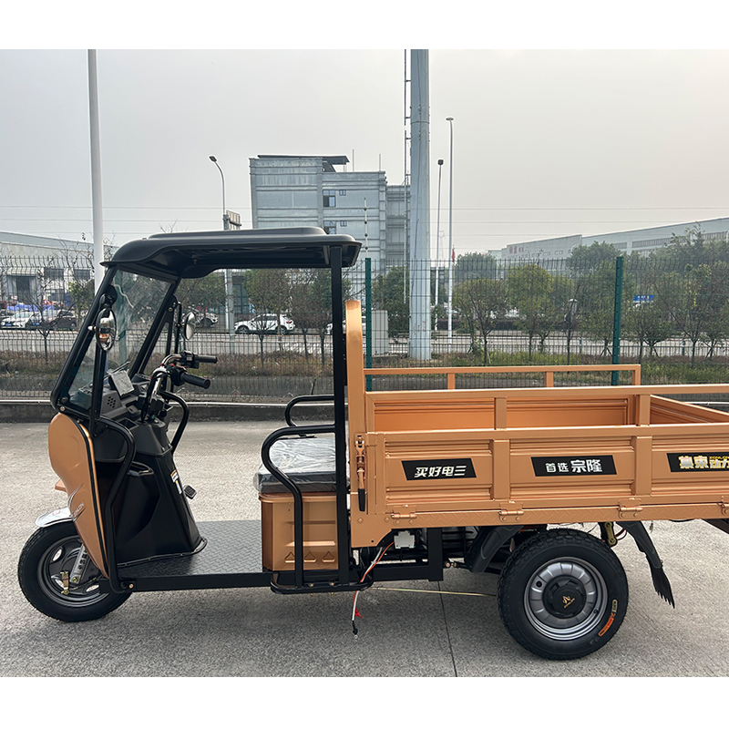 Golden Electric Three Wheel Motorcycle