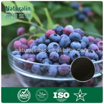 Bilberry extract/ 25% Anthocyanin/Anthocyanin Extract Powder