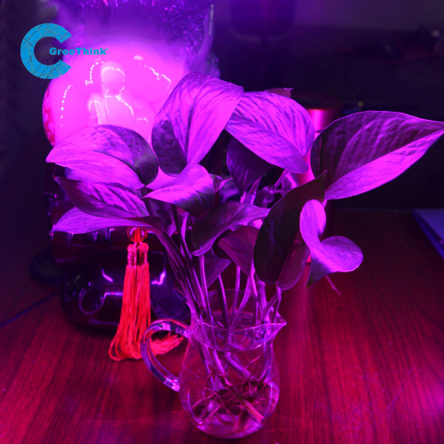 SMD 3528 LED PLant Grow Light full Spectrum