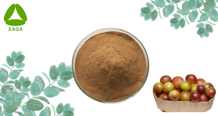 Camu Fruit Extract