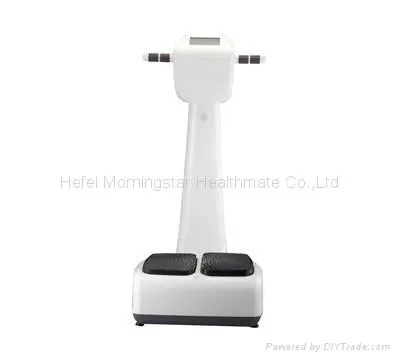 Crazy Fitness Massager
