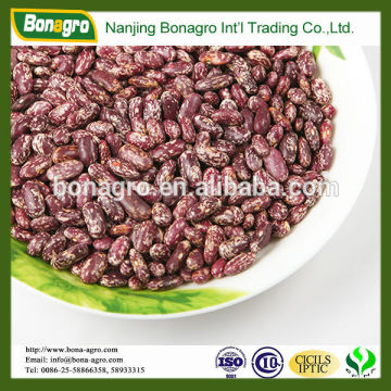 chinese black purple speckled kidney beans