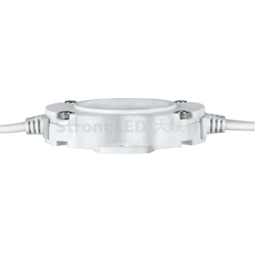 DC24V Outdoor RGB DMX512 LED Dot Light DS1A