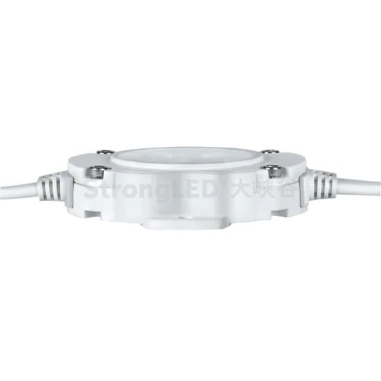 RGBW Addressable Facade Lighting LED Dot Light DS1A