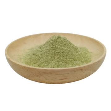 Wholesale bulk pure herbal broccoli flower extract powder