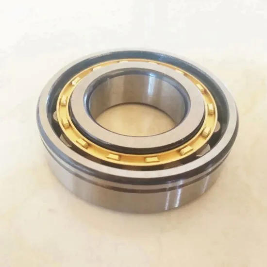NJ 306 EN Cylindrical Roller Bearing High Precision 262306E NJ306EN